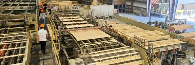 Students with orange hard hats turning a lumber mill