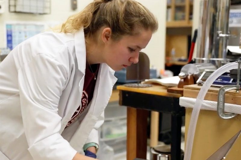 A student researcher in a lab