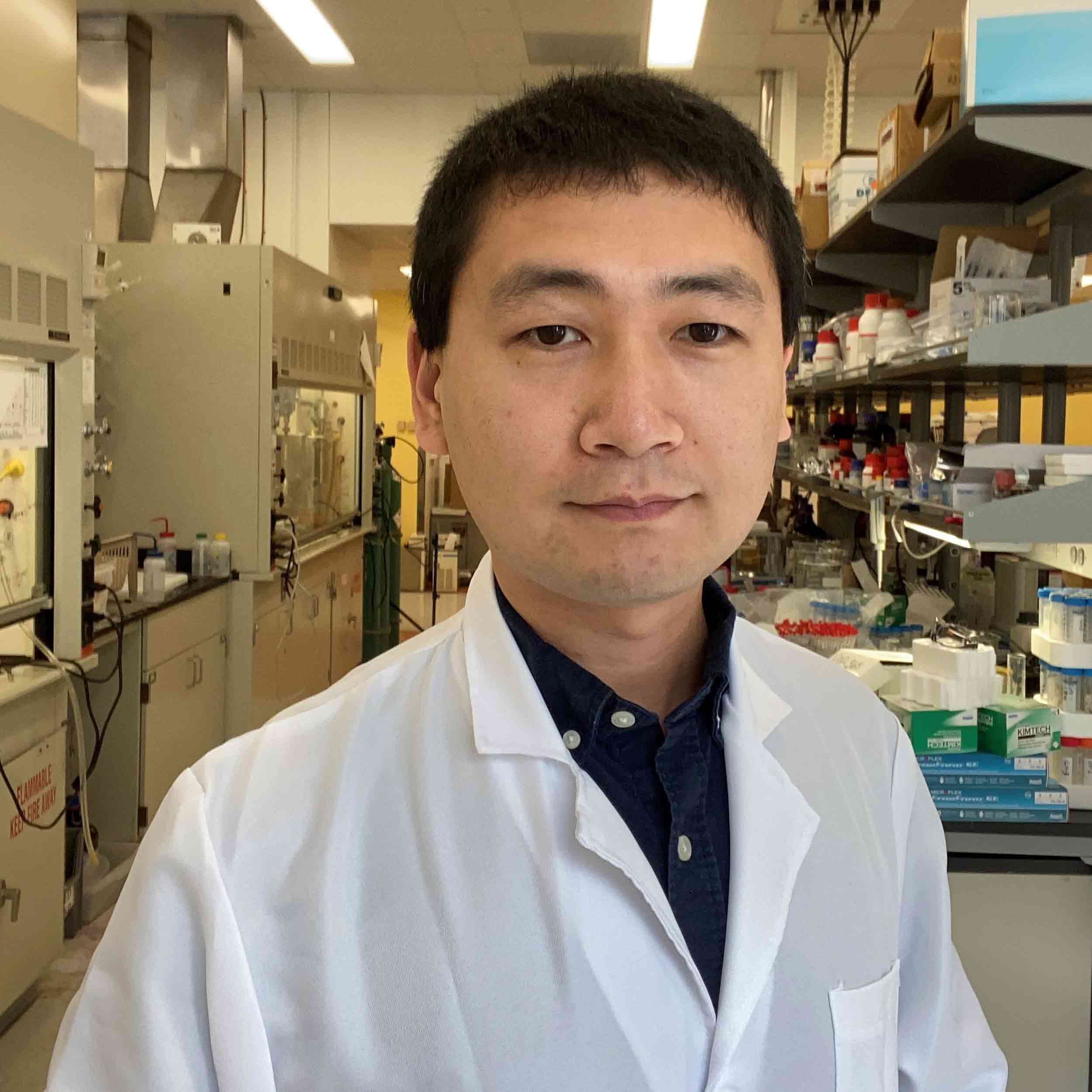 Yang Zhou photo