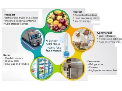 Research Highlight: Exploration of insulated shipping containers for cold chain distribution