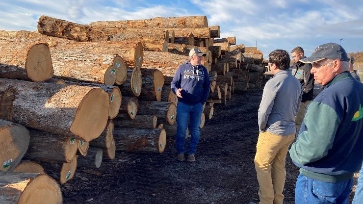 A group of Virginia Tech foresters inspecting a long stack of logs seven to 10 feet high.