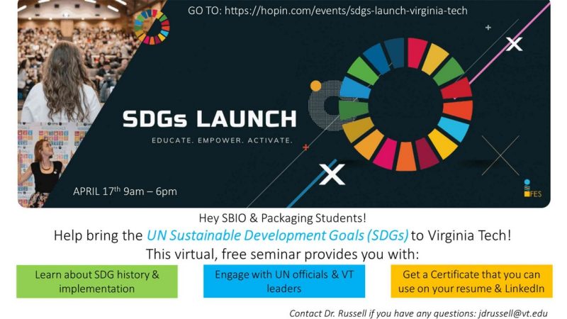 Flyer for SDGs Launch