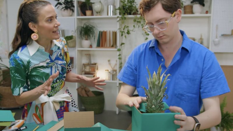 Pack It! Competition A person holds a box around a pineapple as another person looks on.
