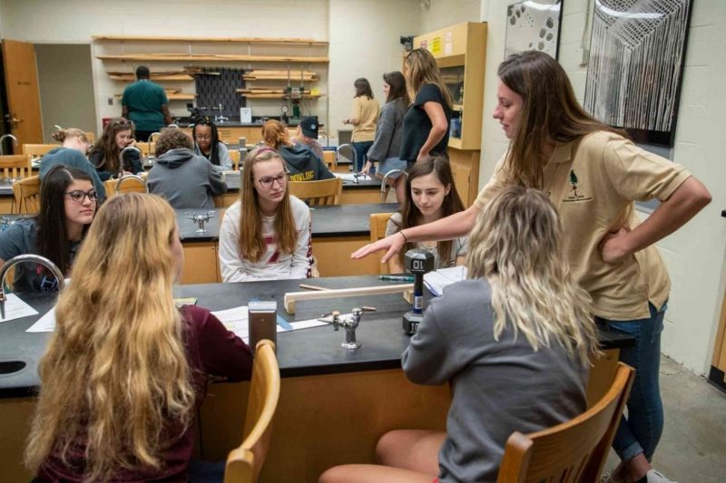 Students attending InsideTrees class