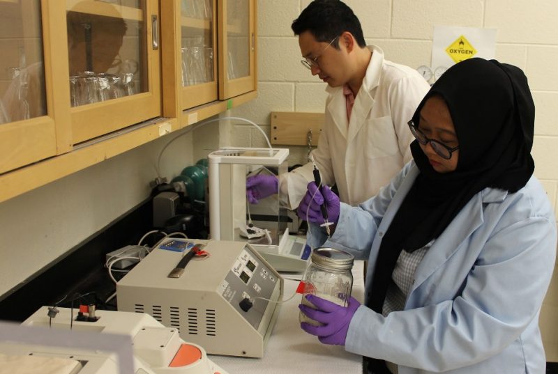 Students getting hands on experience